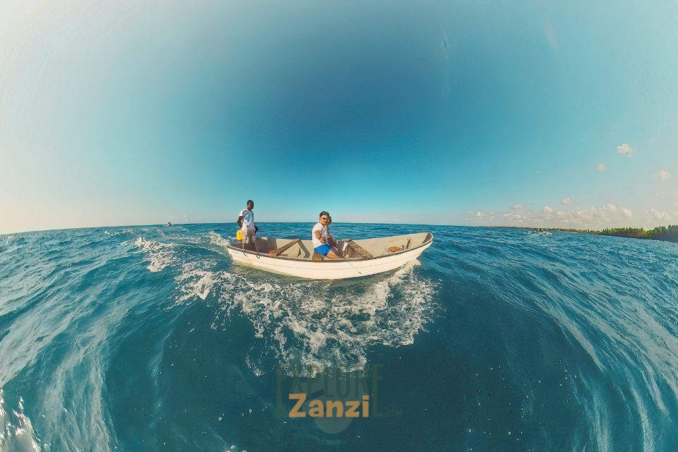 Kizimkazi Boat Tour